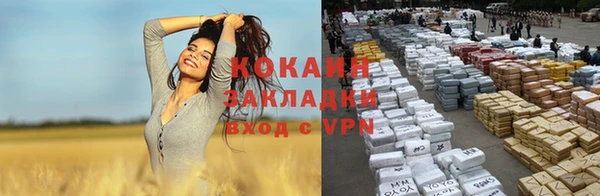 гидропоника Каменка