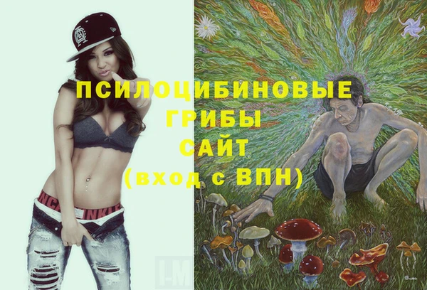 MDMA Каменногорск