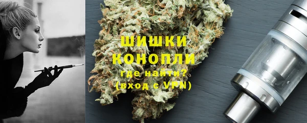 гидропоника Каменка