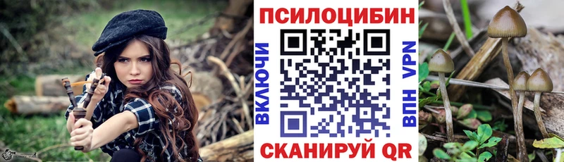 Купить закладки  Дорогобуж  Псилоцибиновые грибы GOLDEN TEACHER 